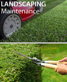 Lanscape maintenance